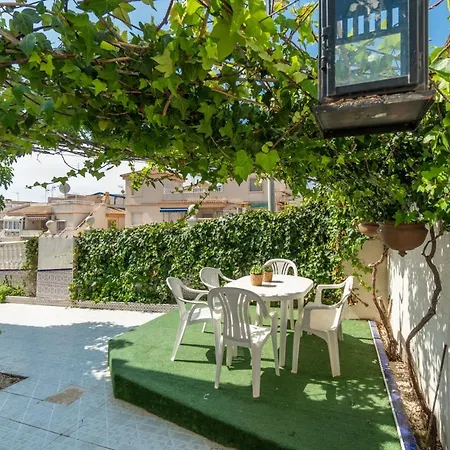Family House And Garden